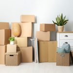 Cardboard,boxes,,potted,plants,and,household,stuff,indoors.,moving,day