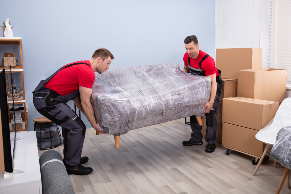 Portrait,of,two,young,happy,male,movers,carrying,wrapped,sofa