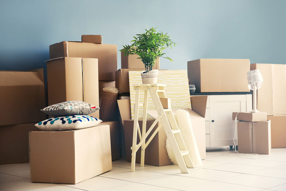 Professional Movers in Saratoga Springs, UT